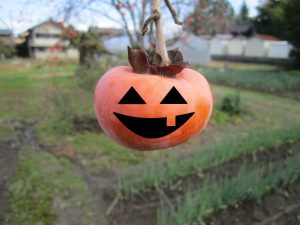 ハロウィン柿