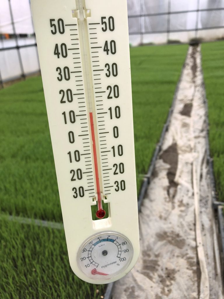 苗代（温度計）re