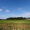 【稲作】稲刈り後、秋にしておくと良い4つの作業