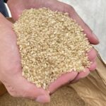 【稲作】令和7年の稲作を振り返る